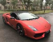 穗城救助机,构协作助力,流浪者返乡,米兰体育平台,米兰体育官方网站,米兰体育登录入口,米兰体育app下载