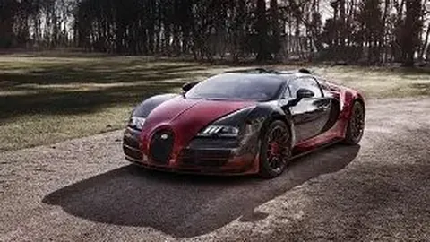 穗城救助机构协作助力流浪者返乡