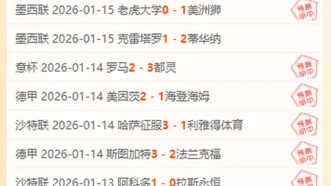 迪士尼乐园迎来Blueys Best Day EverBlu